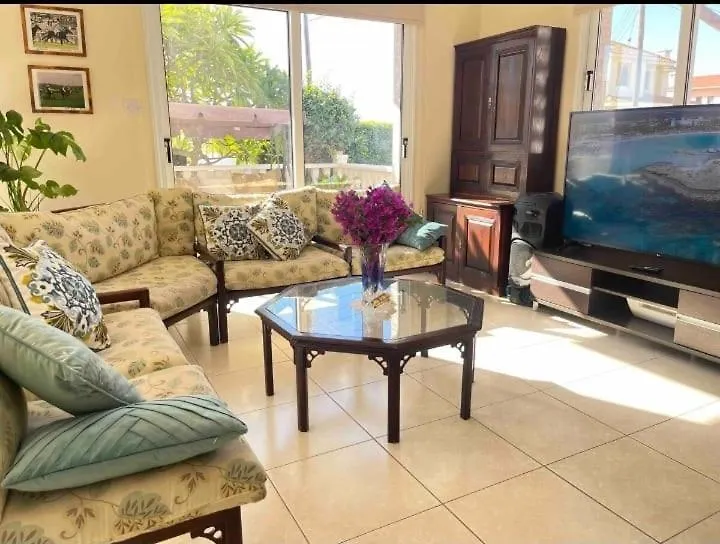 Nissi Beach Villa With Pool And Sea View Ayia Napa