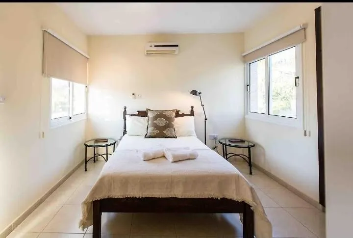 Nissi Beach Villa With Pool And Sea View Ayia Napa